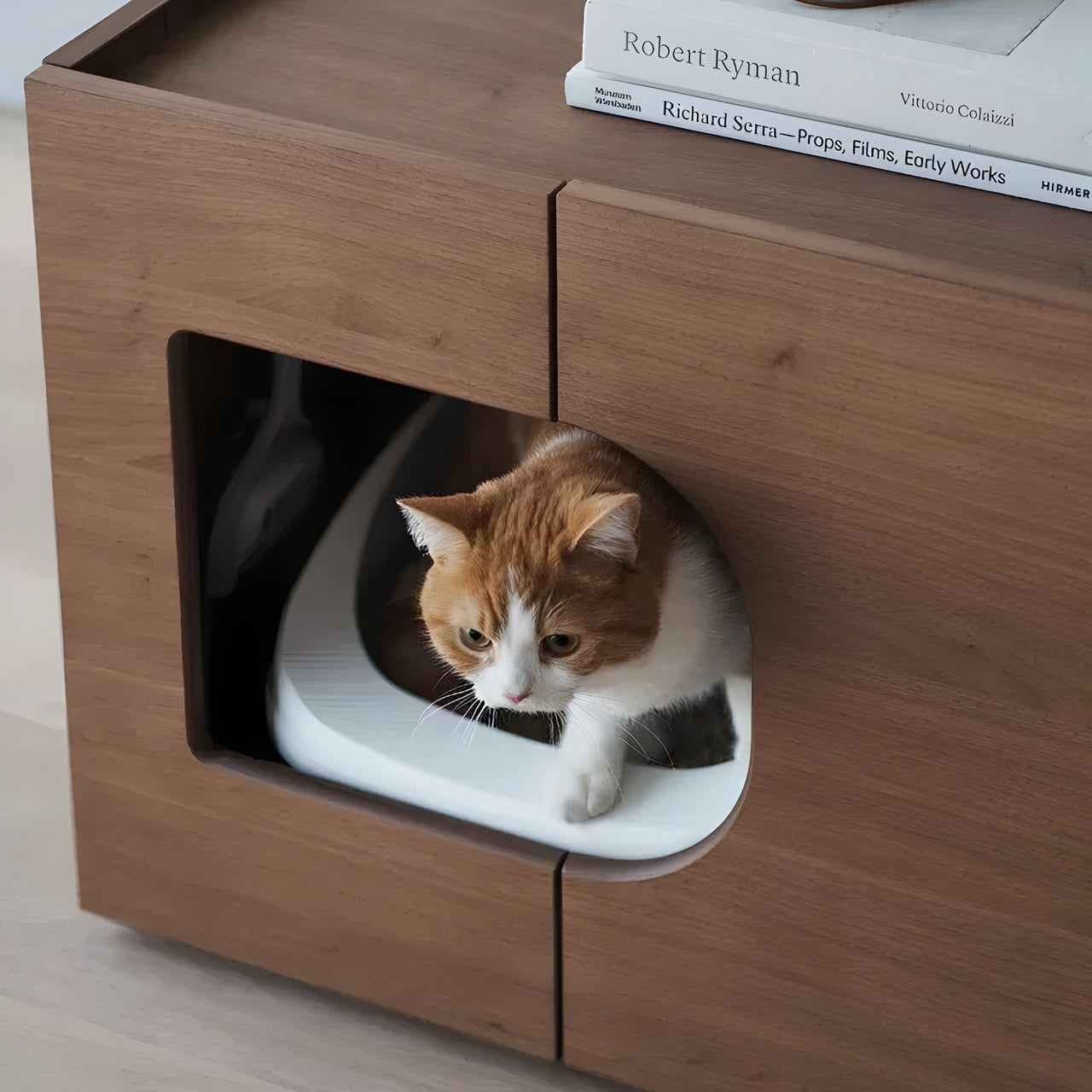 Cat Box
