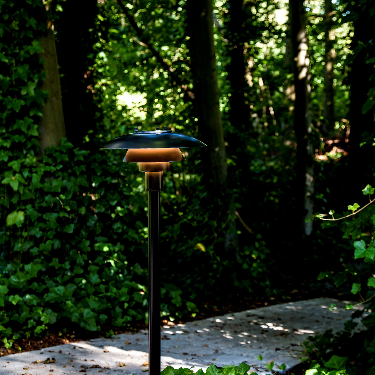 insitu