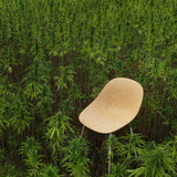 Mat Chair: Steel