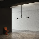 insitu