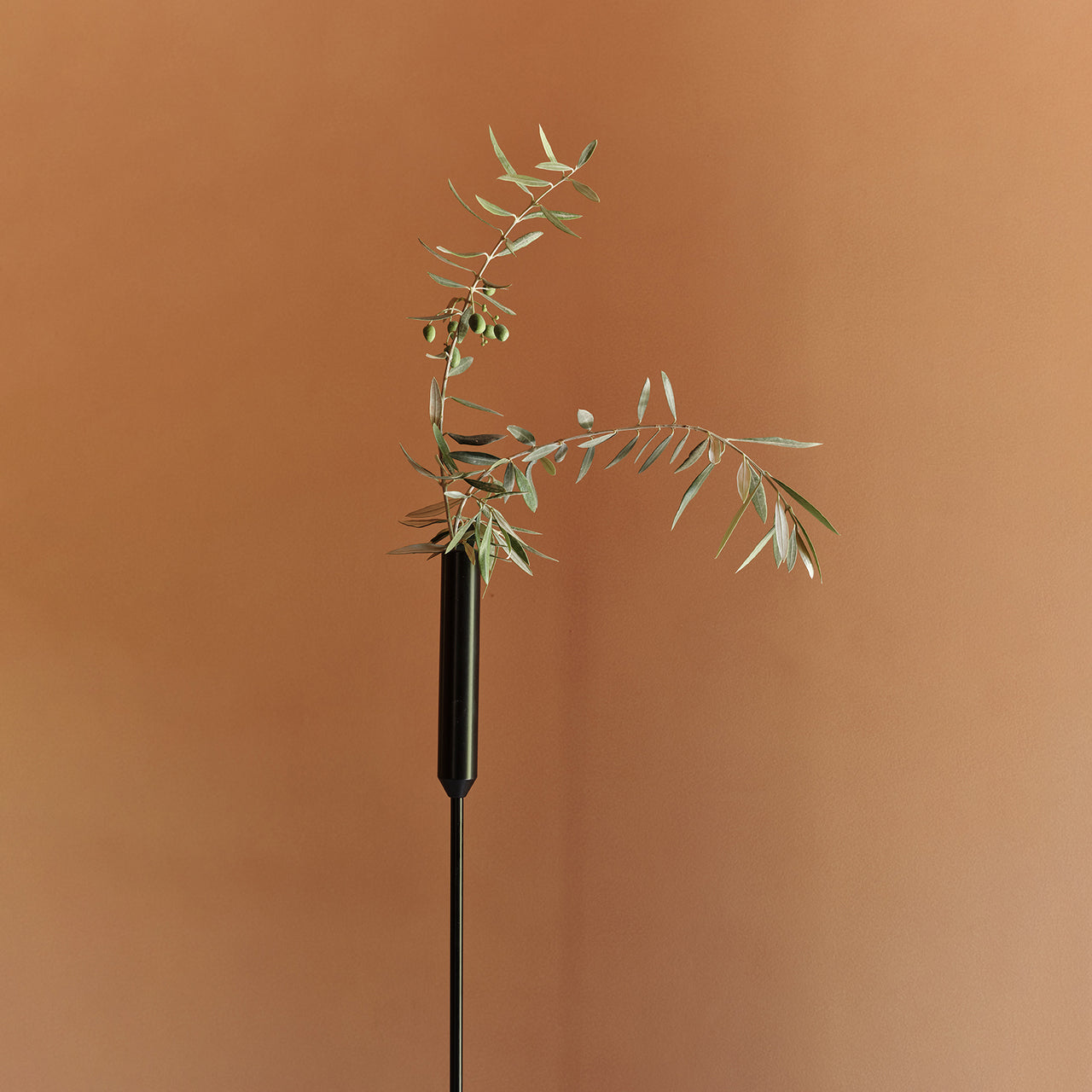 insitu