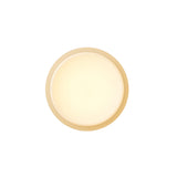 Copia Sconce: Frosted