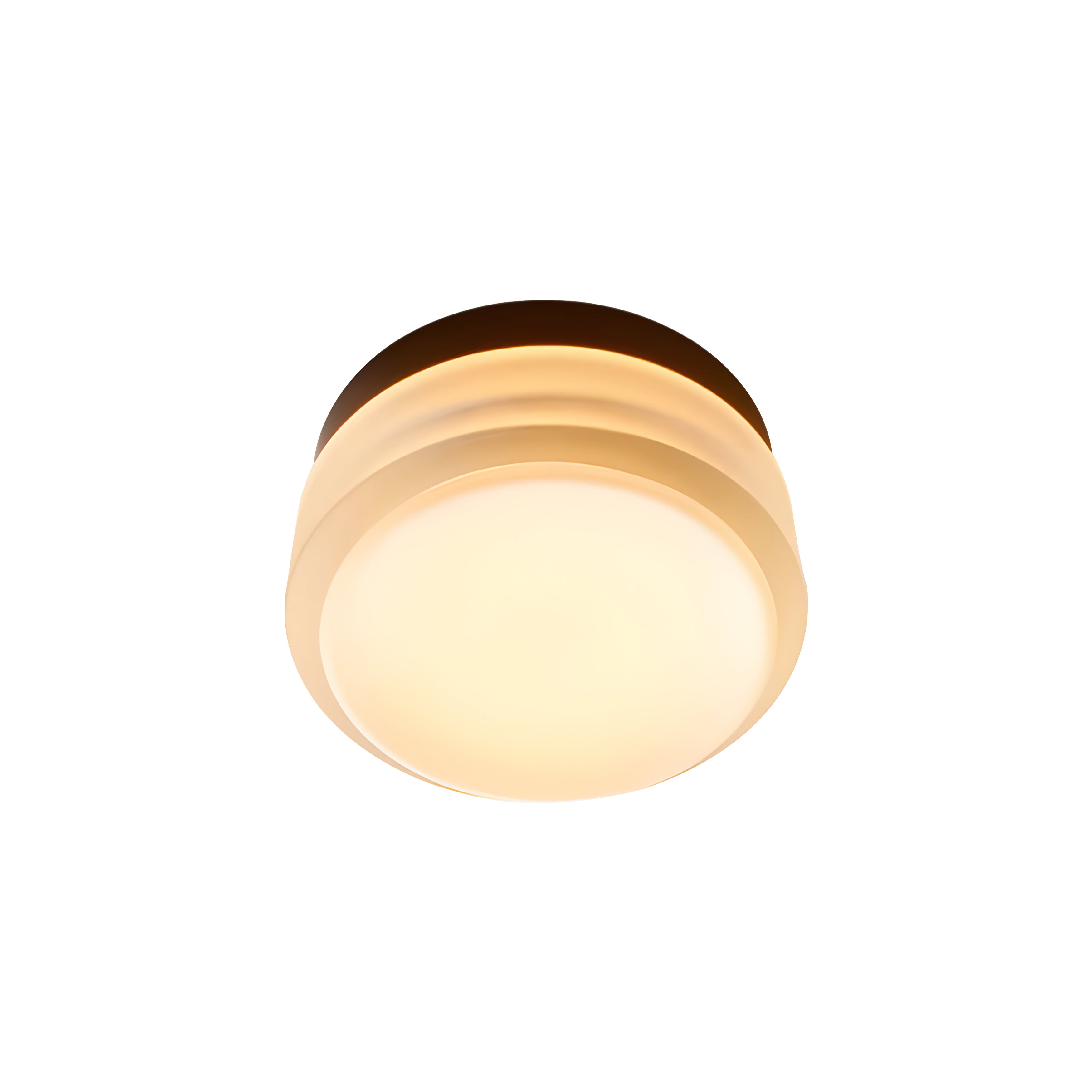 Copia Flush Mount: Frosted + Black Anodized