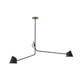 Hartau Double Ceiling Lamp: Matte Black + Black Anodized