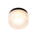 Dimple Flush Mount: Frosted + Black Anodized