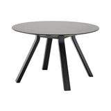 Spectrum Round Table: Black Oak