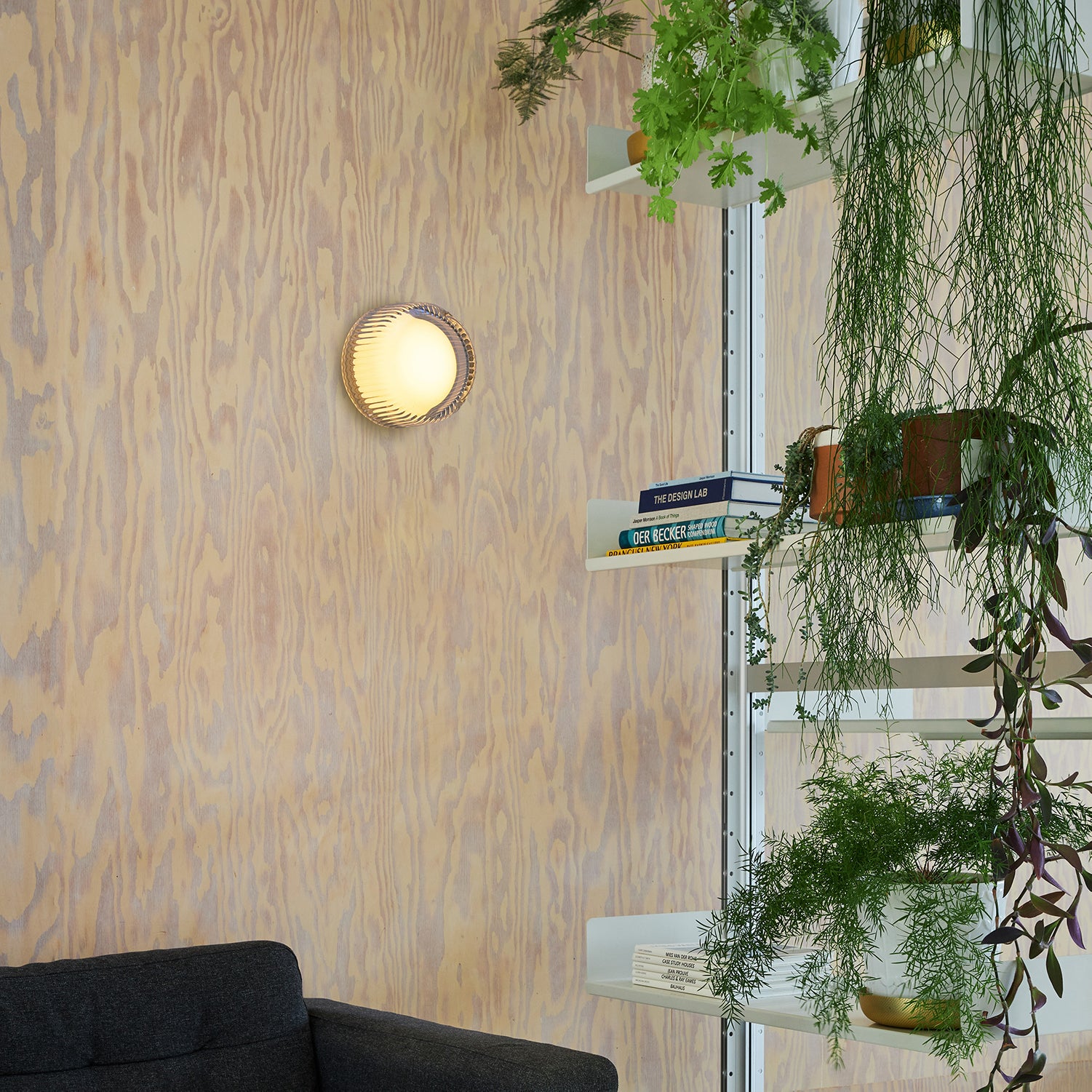 Firth Wall Light