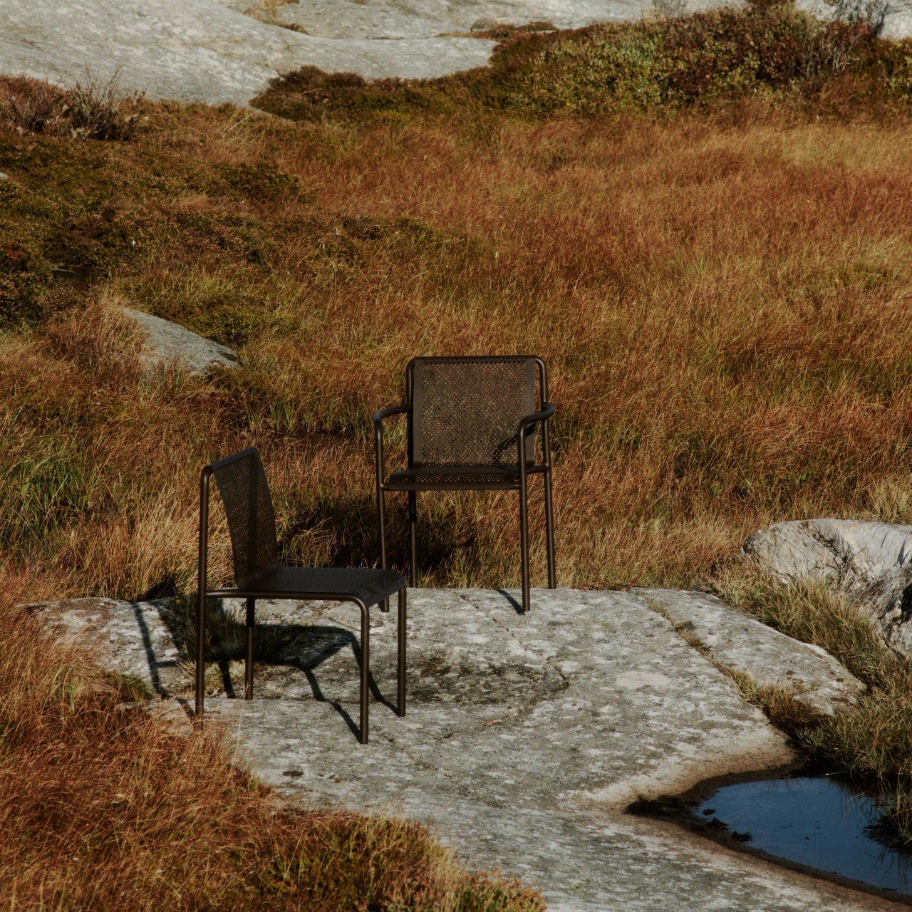 Dapple Chair
