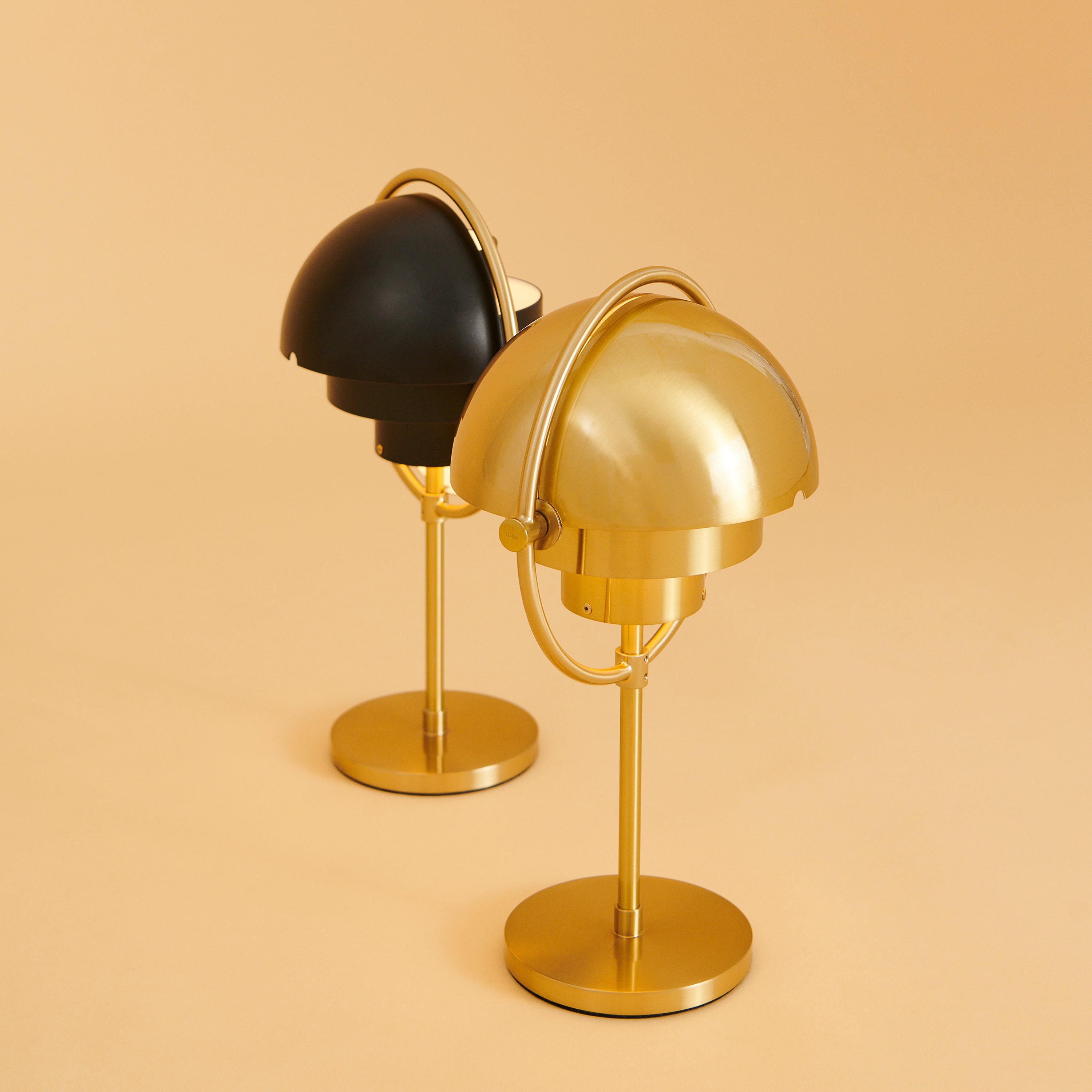Multi-Lite Portable Lamp