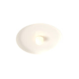 Hoist Flush Mount: With Large Shade + Small - 4