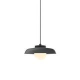 Hoist Pendant: With Medium Shade + Large - 6