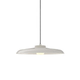 Hoist Pendant: With Large Shade + Small - 4