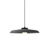 Hoist Pendant: With Large Shade + Small - 4