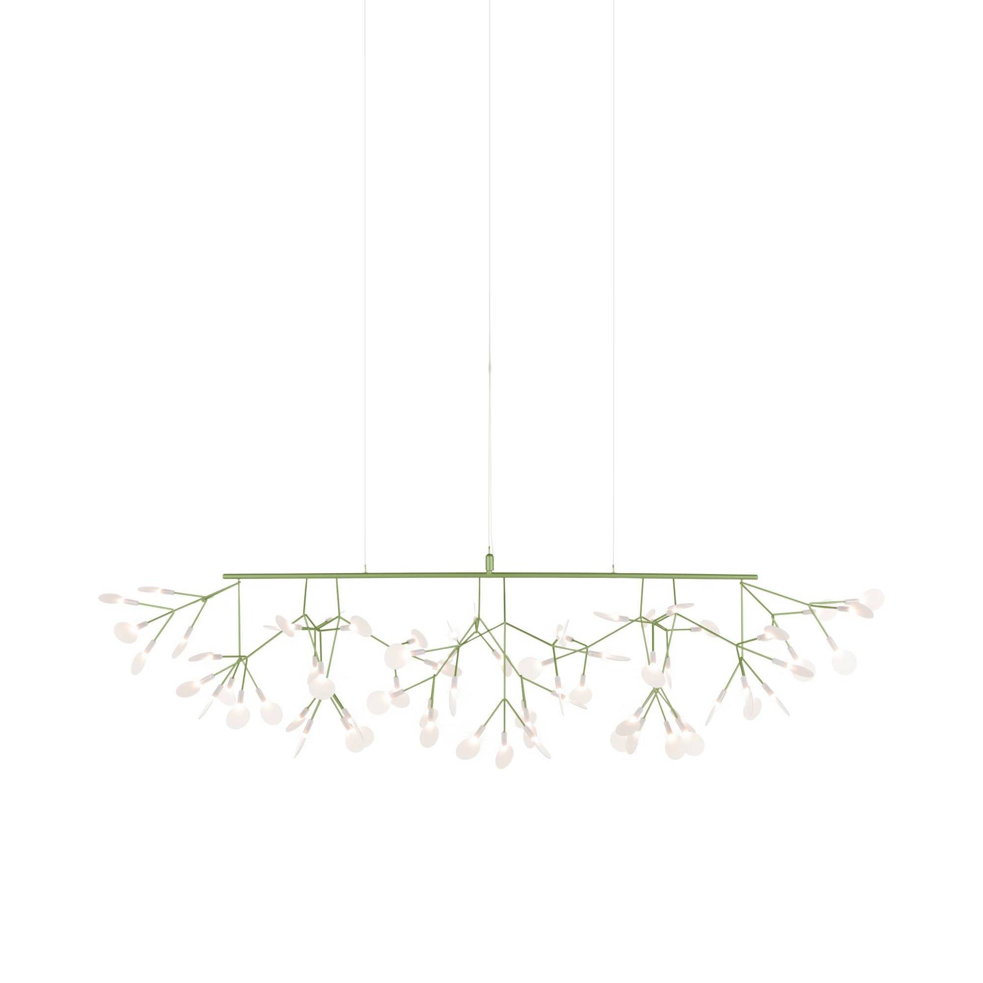 Heracleum III Linear Light: Green