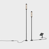 Reed Outdoor Lighting