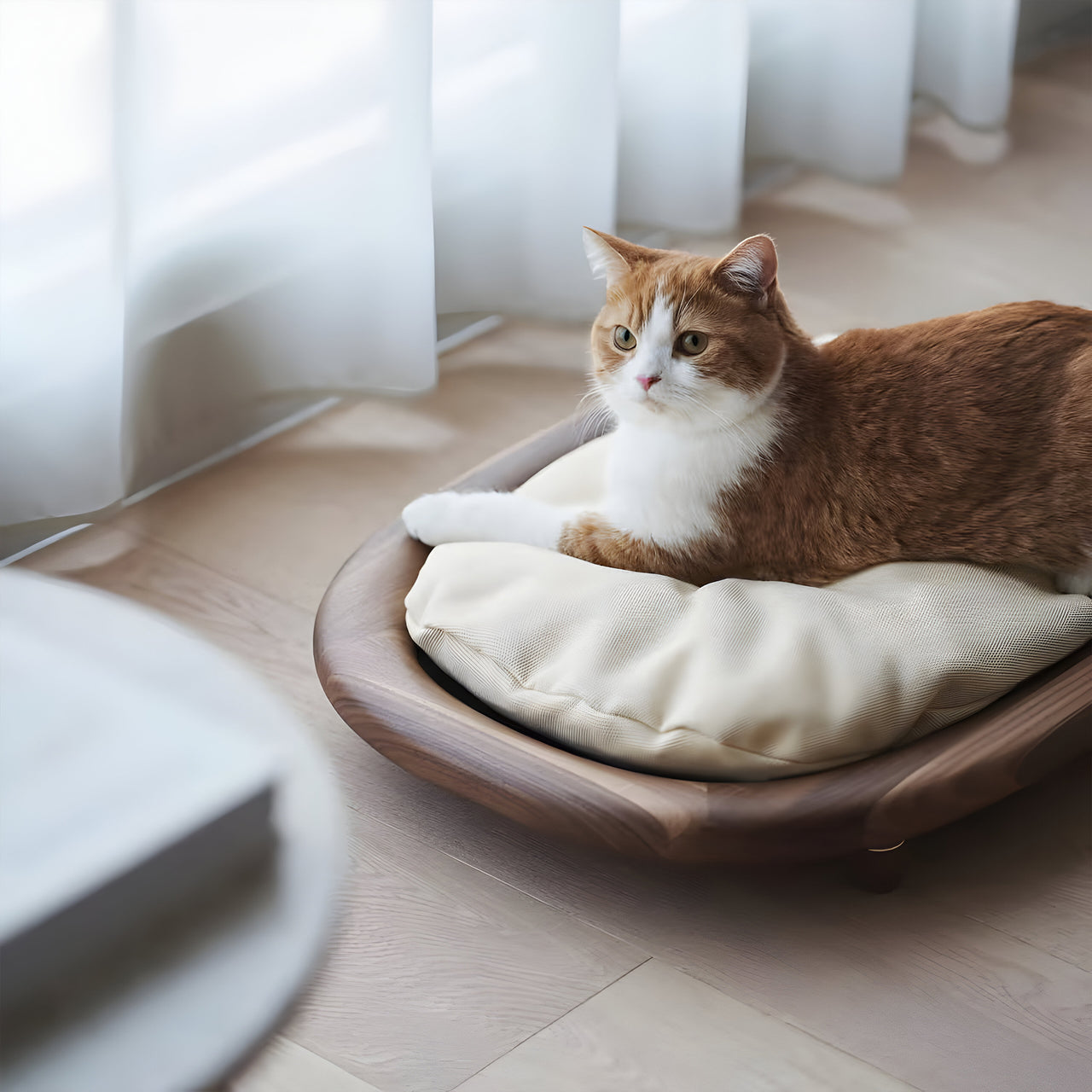 Cat Bed