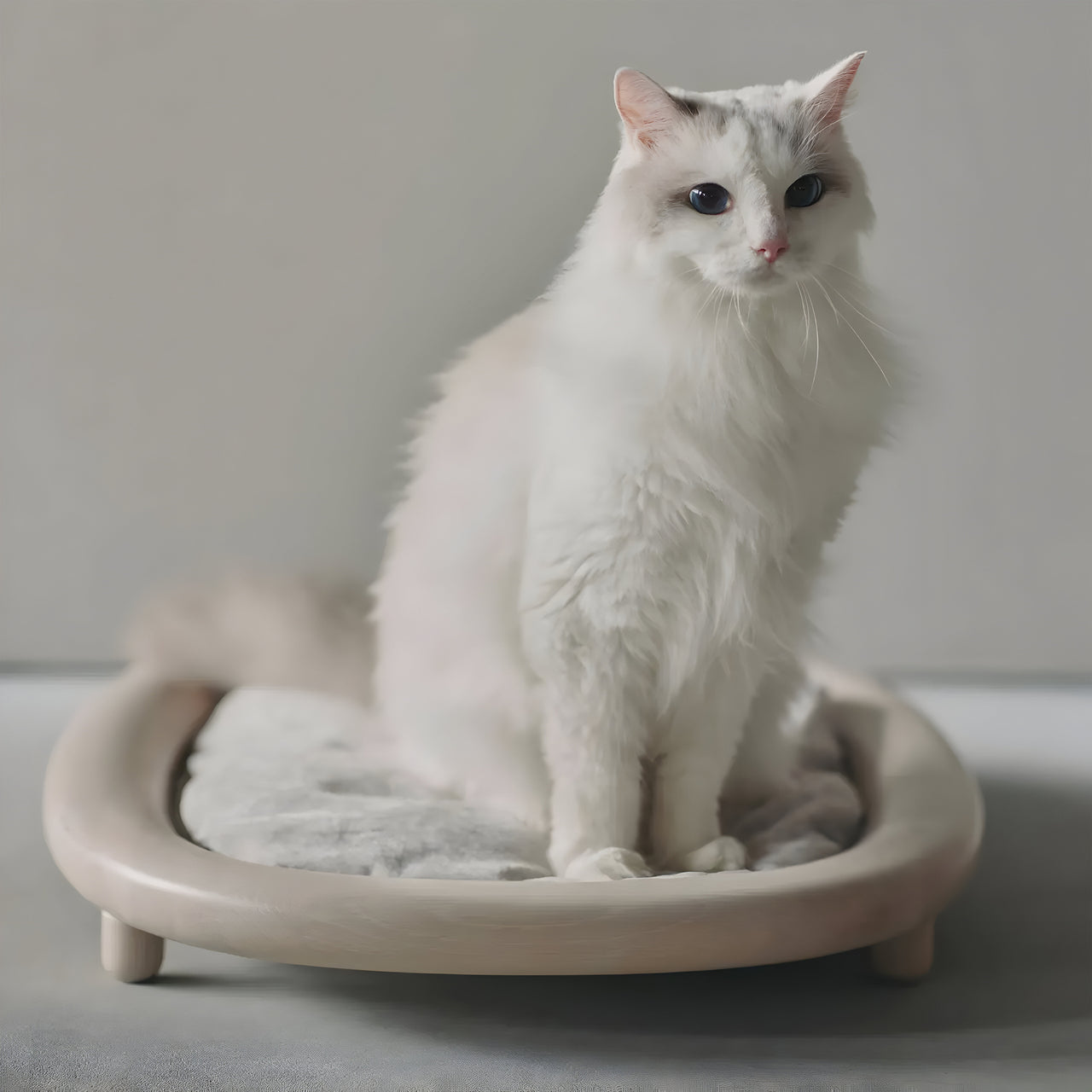 insitu