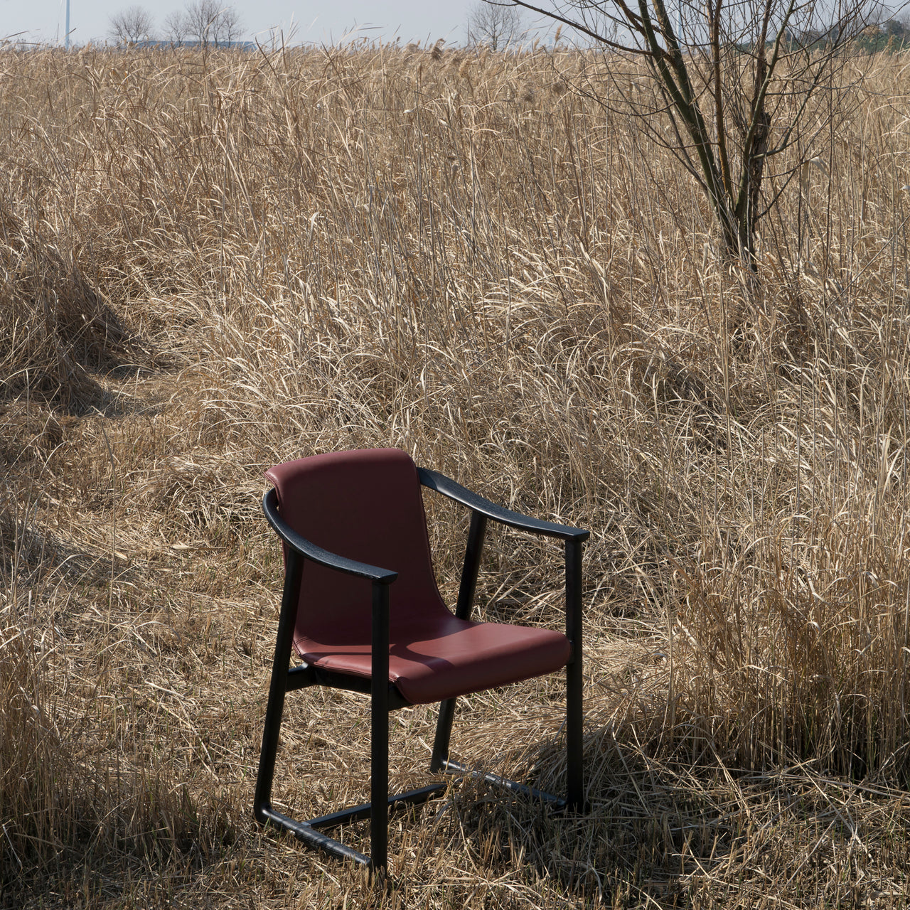 Mandarin Dining Chair