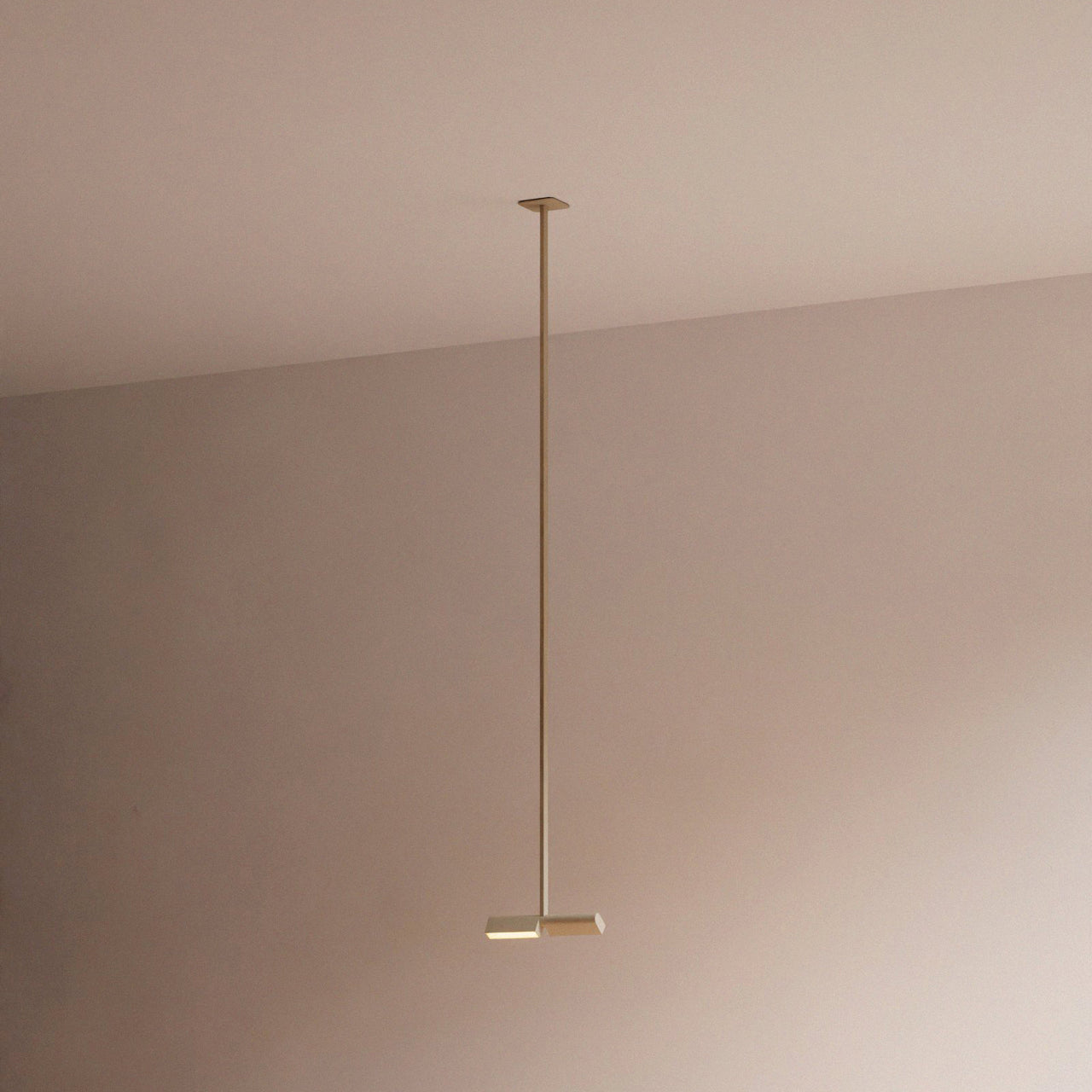 insitu