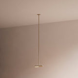 insitu