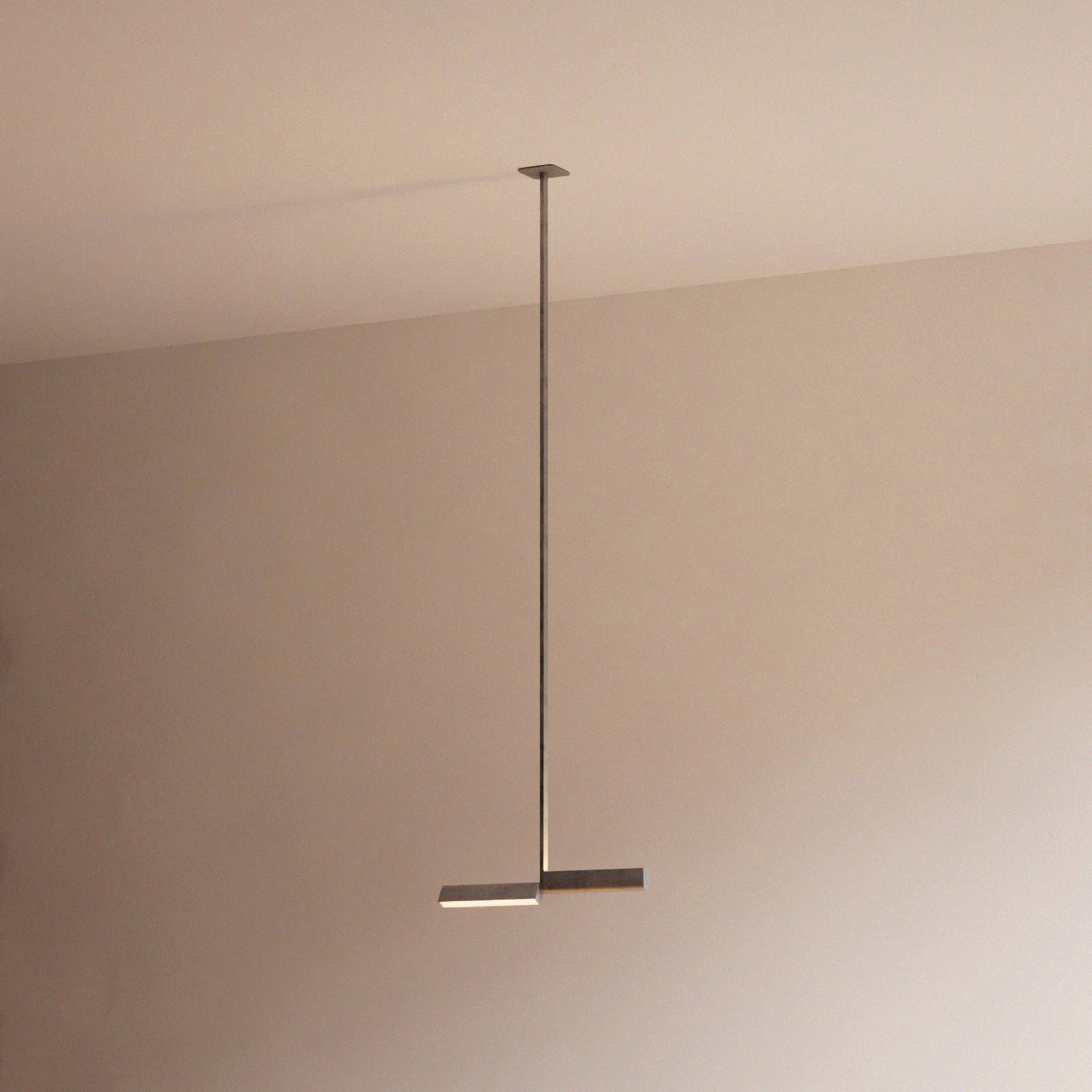 insitu