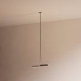 insitu