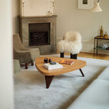 insitu