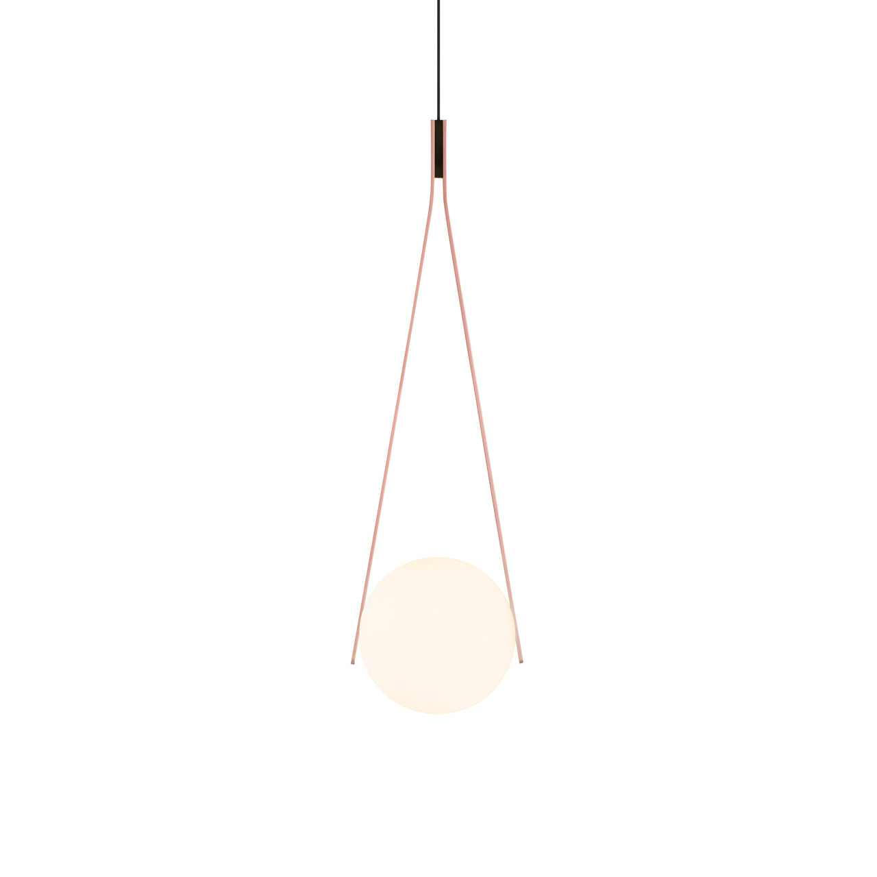 NomNom Suspension Lamp: Blossom