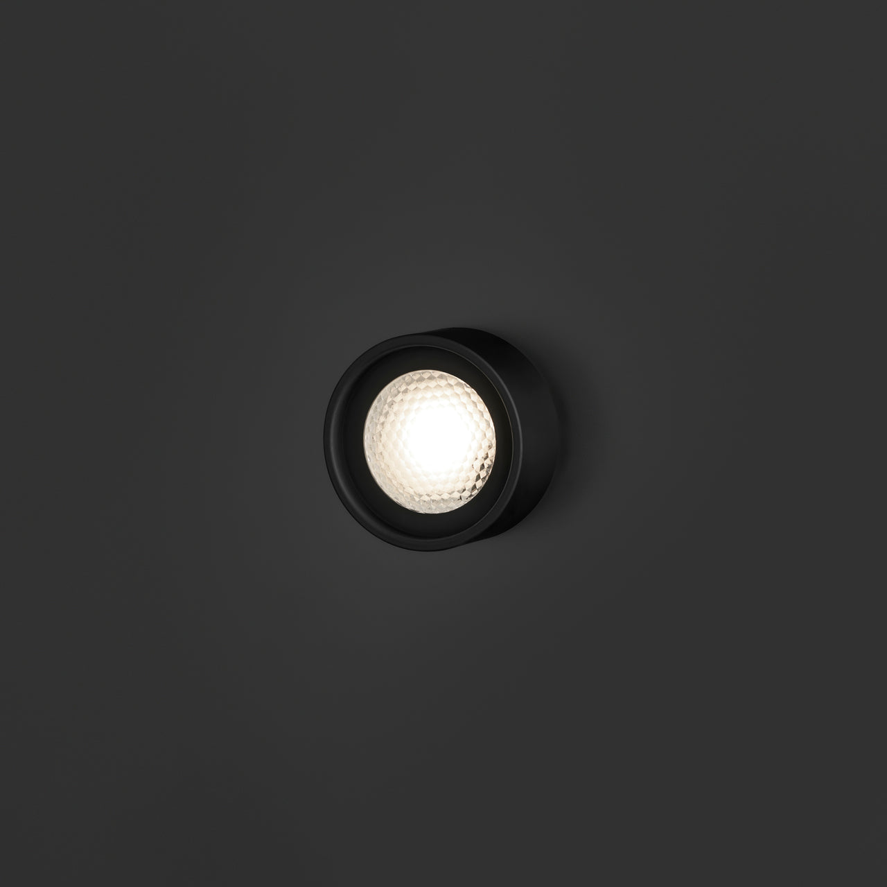 insitu