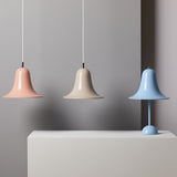 Pantop Pendant Lamp: Quick Ship