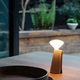 Mantle Portable Lamp