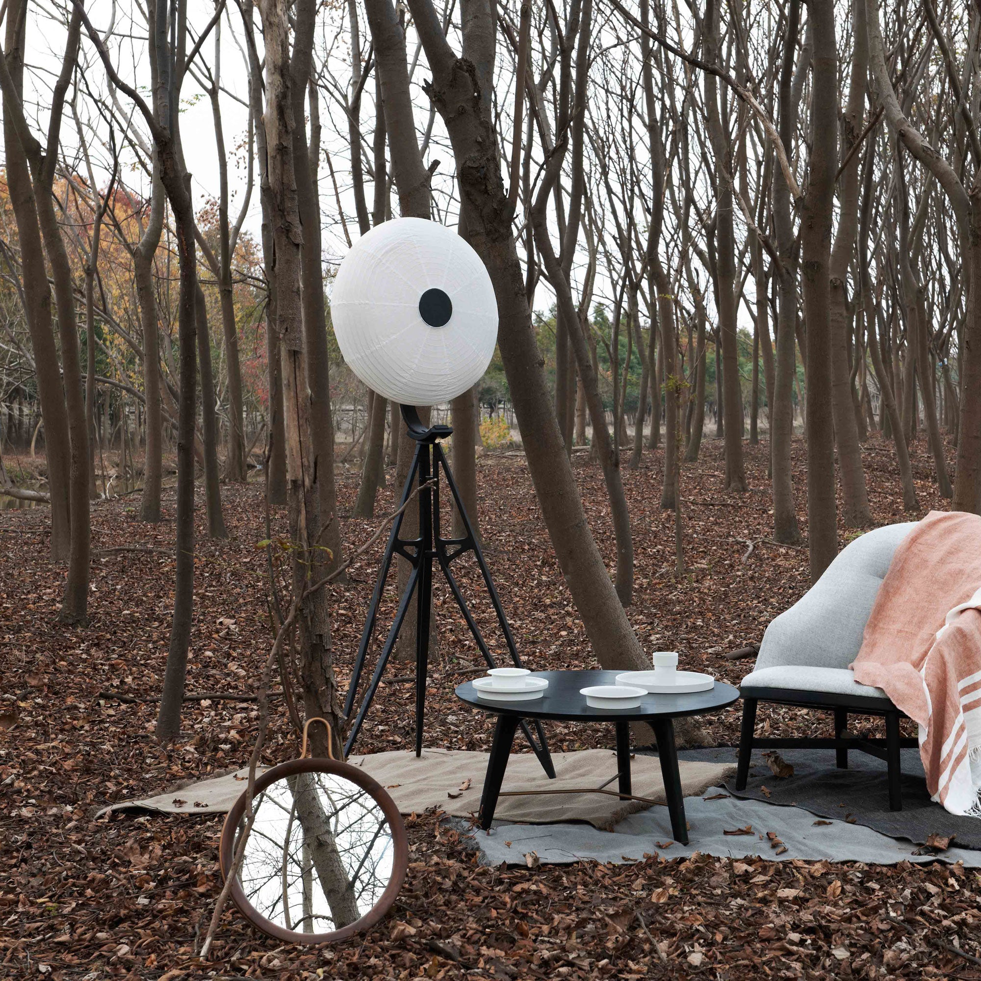 insitu