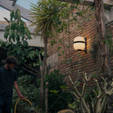 Wally Wall Lamp-Quick ship