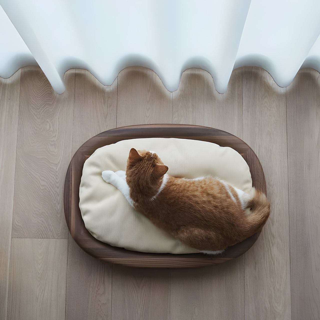 Cat Bed