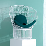 Peacock Seatpad + Pillow