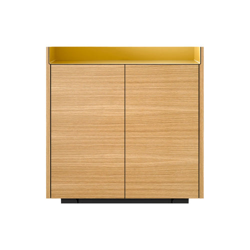 Stockholm STH011 Cupboard: Composition 1 + Super-Matt Oak + Anodized Aluminum Gold + Black