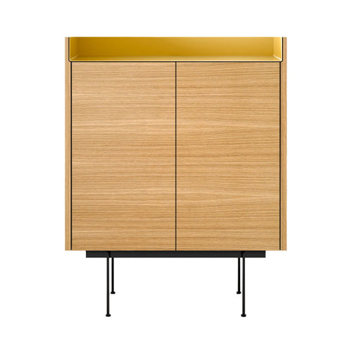 Stockholm STH011 Cupboard: Composition 3 + Super-Matt Oak + Anodized Aluminum Gold + Black