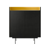 Stockholm STH011 Cupboard: Composition 2 + Ebony Stained Oak + Anodised Aluminum Gold + Black