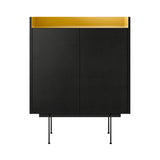 Stockholm STH011 Cupboard: Composition 3 + Ebony Stained Oak + Anodized Aluminum Gold + Black
