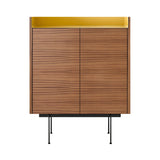 Stockholm STH011 Cupboard: Composition 3 + Super-Matt Walnut + Anodized Aluminum Gold + Black