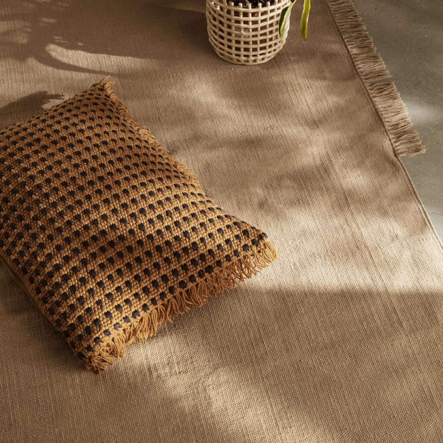 insitu