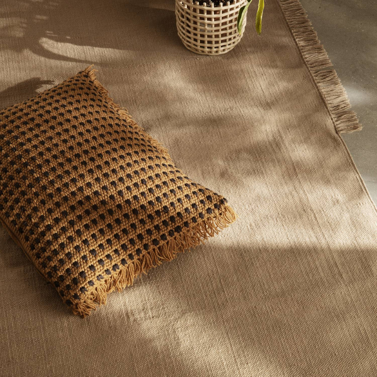 insitu