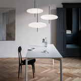 Model 2065 Suspension Lamp