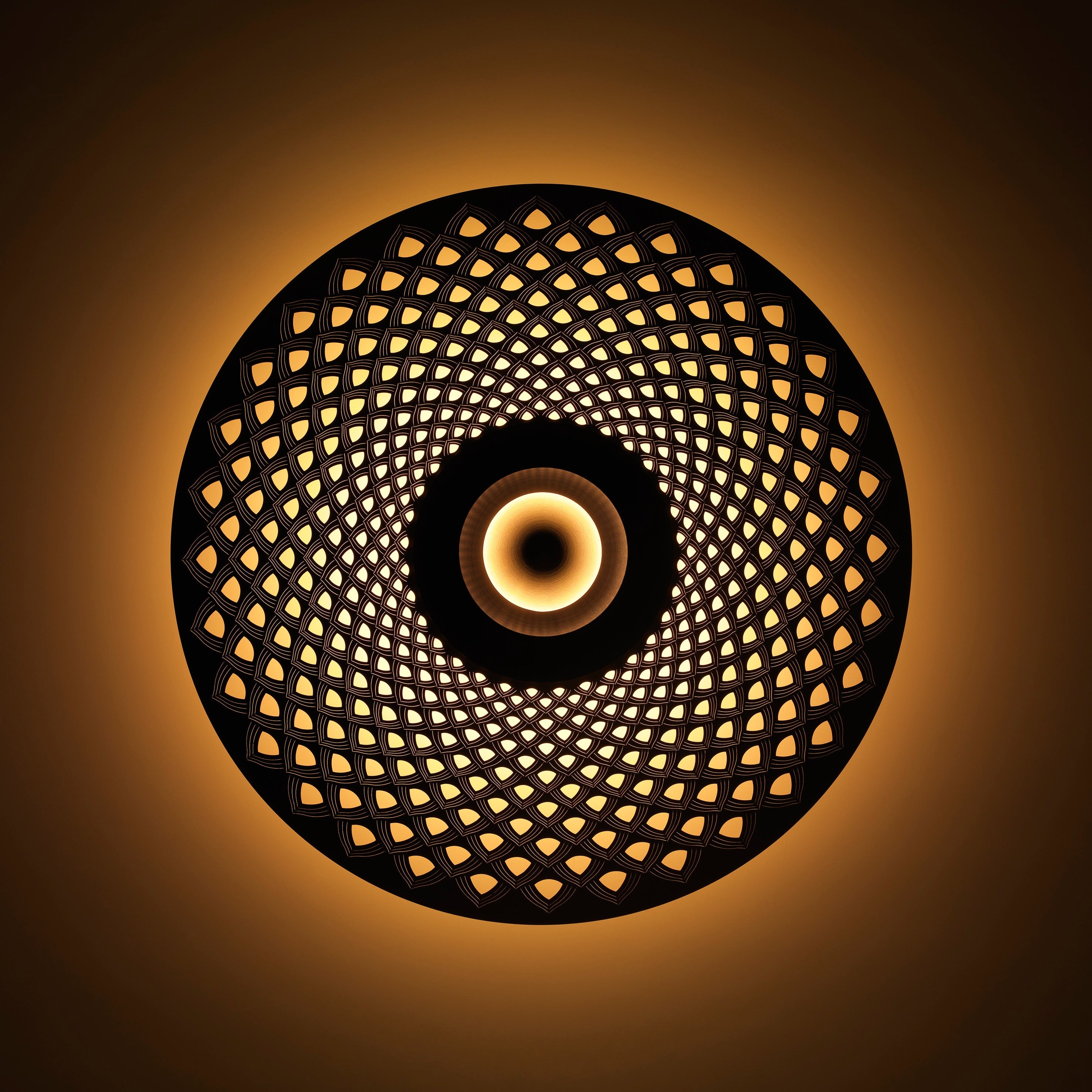insitu