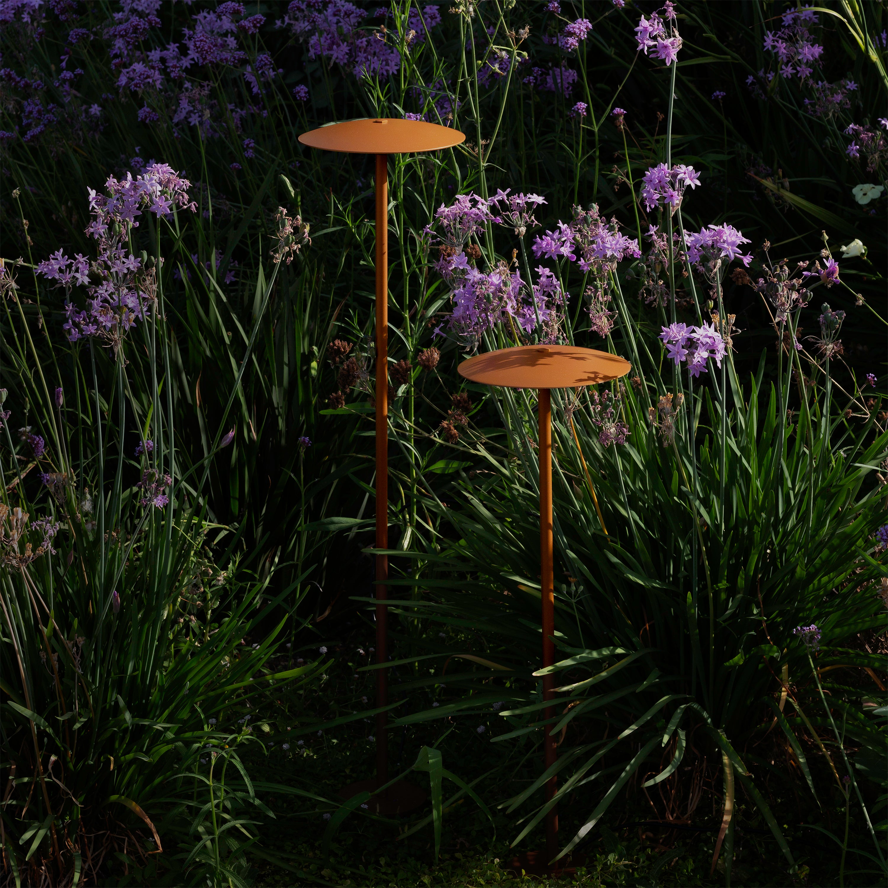 Ginger Bollard Light