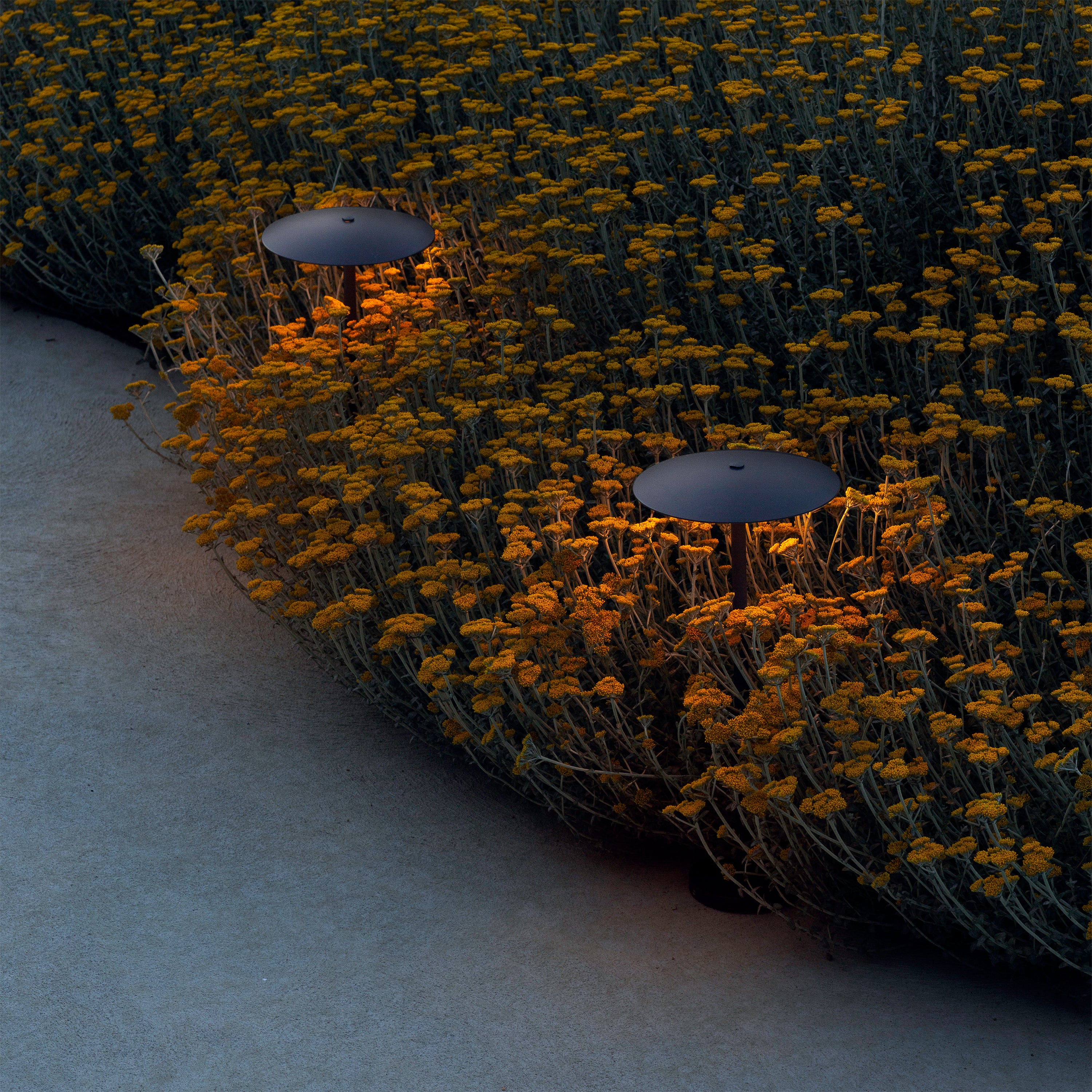 Ginger Bollard Light