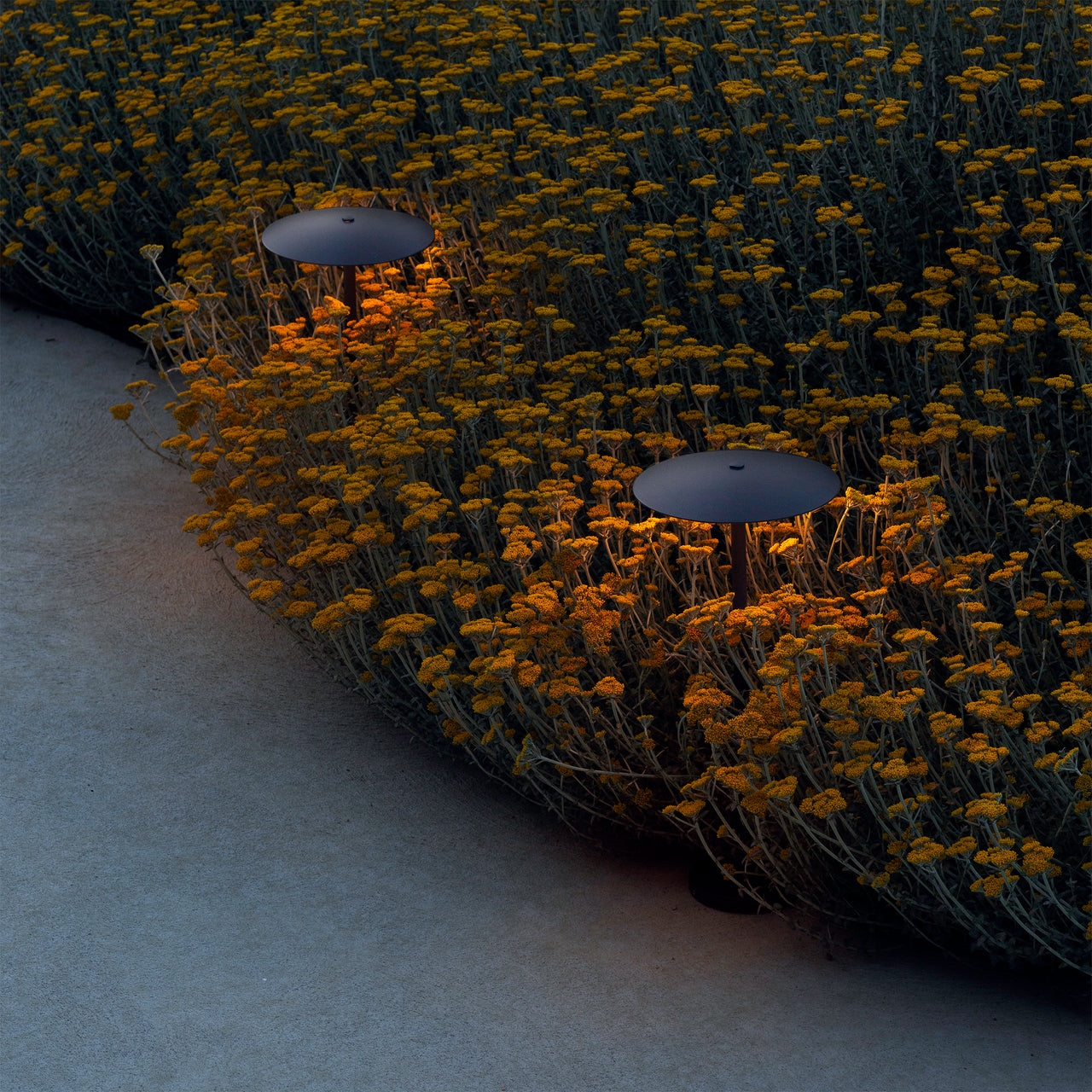 Ginger Bollard Light