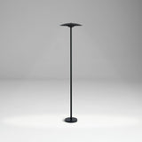 Ginger Bollard Light