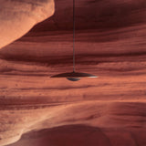 Ginger Suspension Light