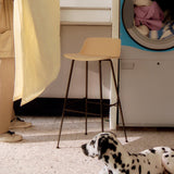 Rely Bar + Counter Lowback Stool: HW81 + HW86